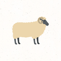 2024년 양띠 주의해야 할 점