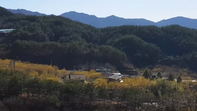 3월 4월 봄꽃 여행지 추천 - 구례 산수유마을