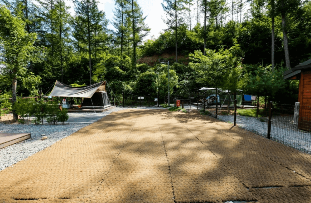 국립화천숲속야영장