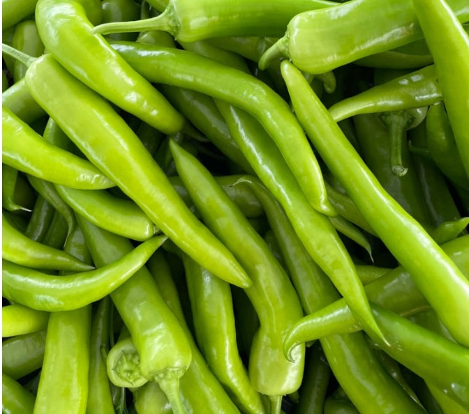 6시내고향 완주 당조고추 한무더기