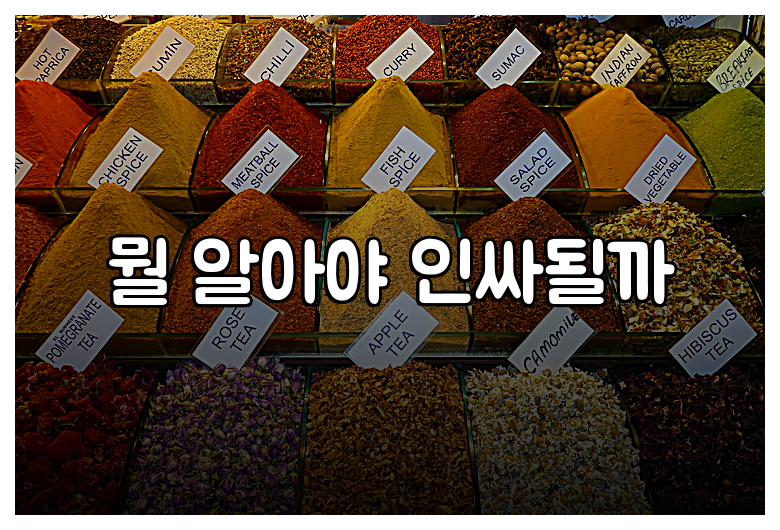 뭘 알아야 인싸될까