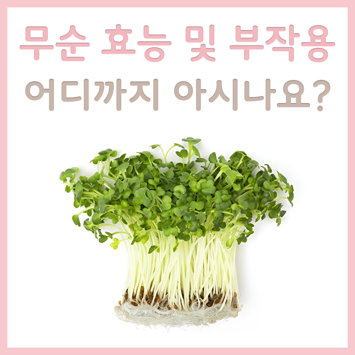 신선한-무순
