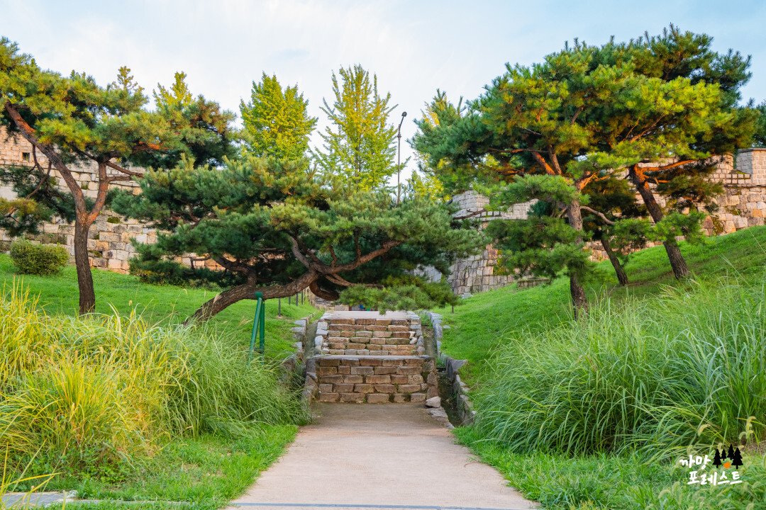 수원 동북포루 올라가는길