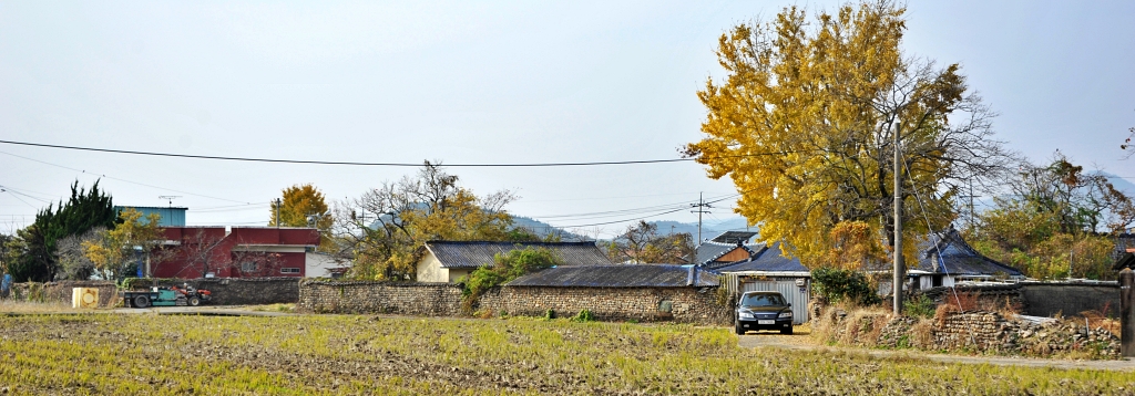 12월 대표기도문