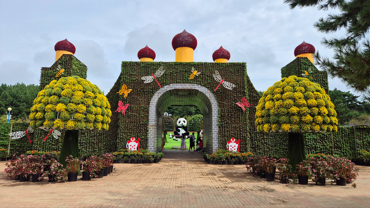 9월 13일 개화현황