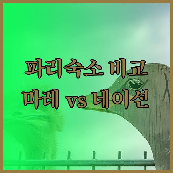 파리 여행의 완벽한 선택? 더 피플