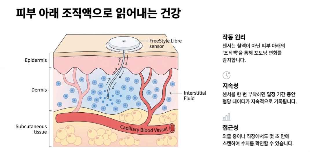 혈당측정기추천-사진2