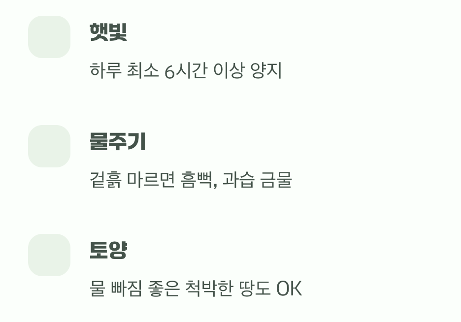 붉은 요정이 좋아하는 자리