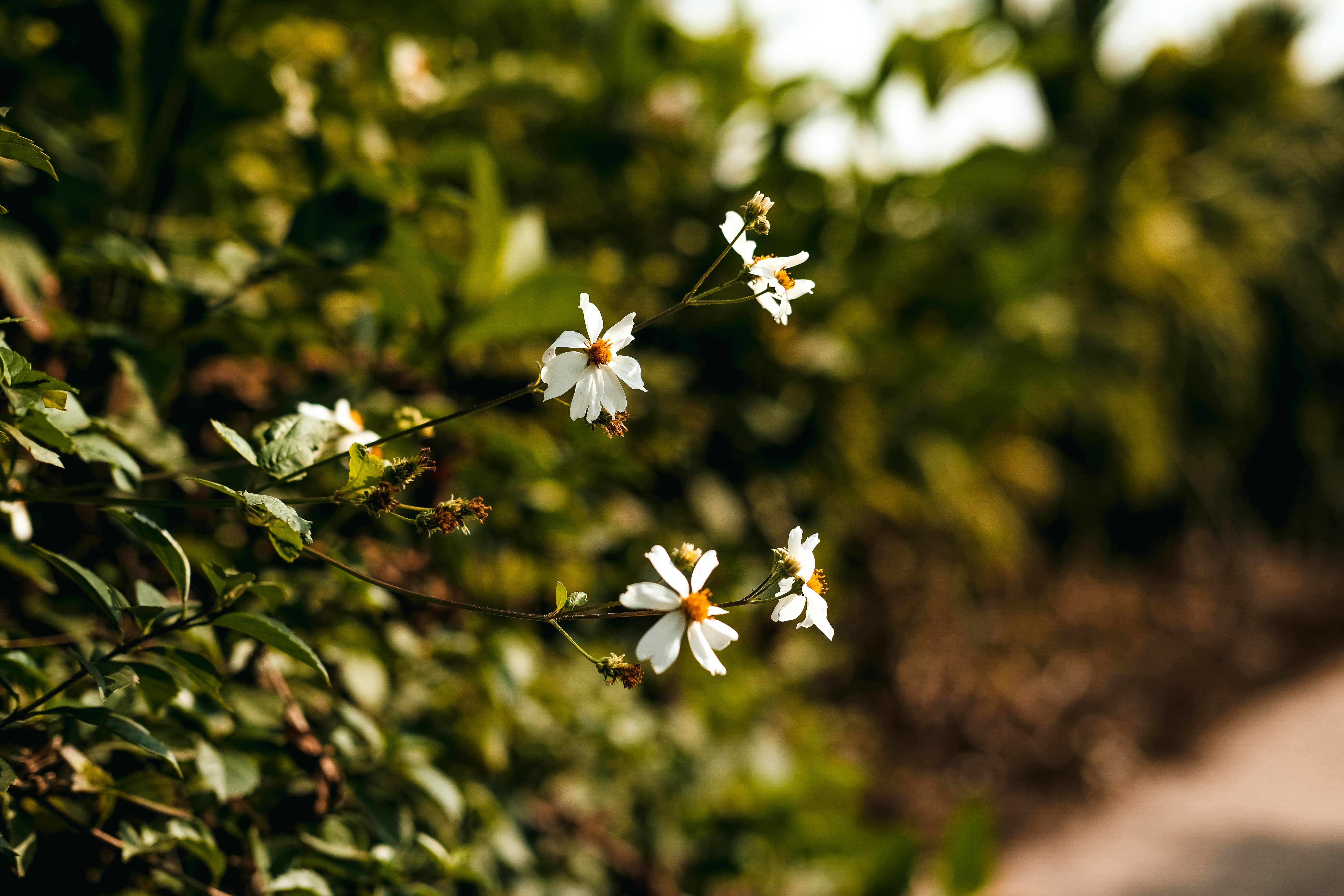 고속도로 통행료 면제기간