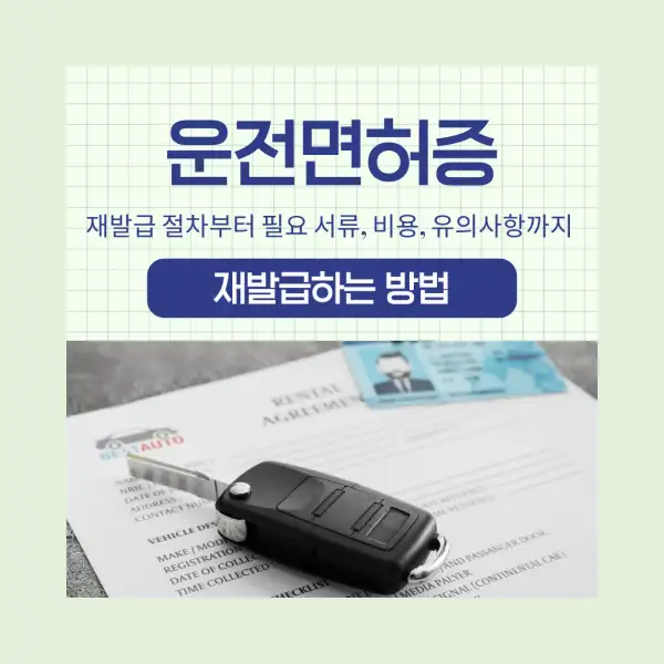 운전면허증 재발급