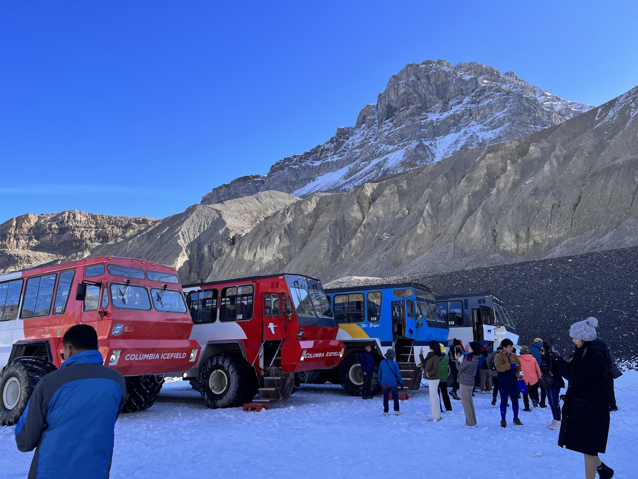 설상차들. 각 설상차마다 연식이 다른데, 최신식이 제일 재밌을 것 같다.