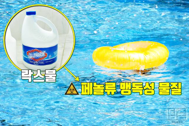 워터파크 수영장 락스물 피부