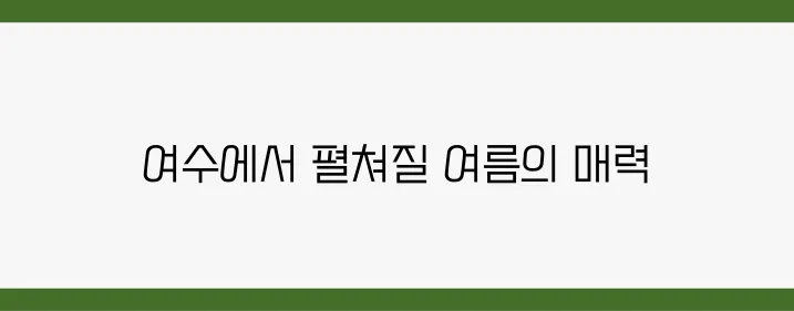여수에서 만나는 2025년 여름의 여행, 축제와 다양한 액티비티가 풍성합니다!