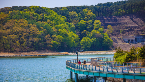 용인 반려견 산책 어디가 좋을까? 겨울에도 걷기 좋은 명소 추천