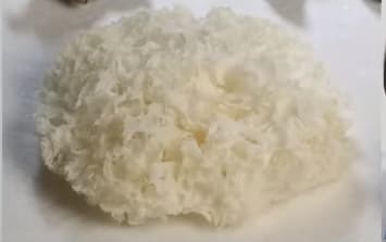 흰목이버섯