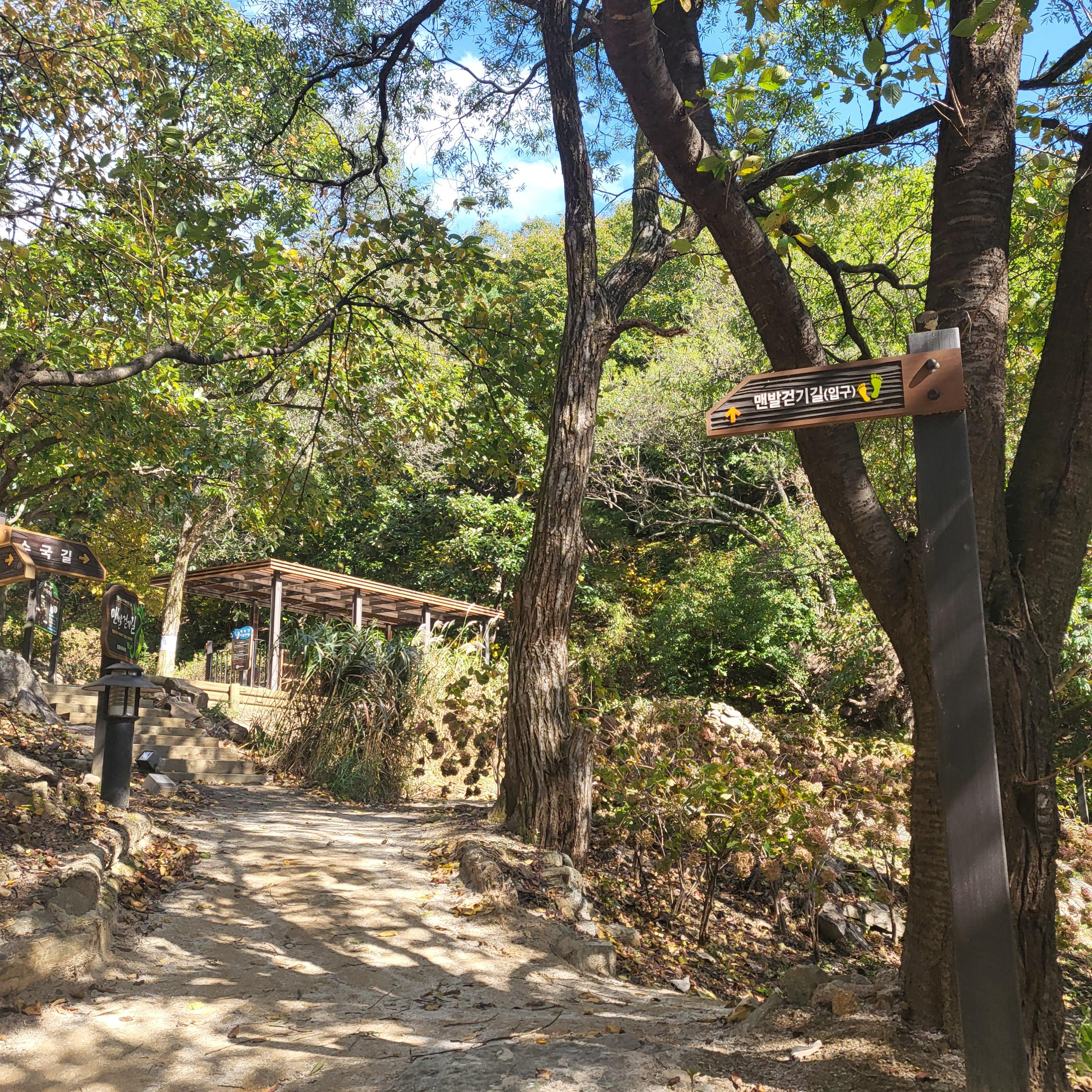 쉬자파크-맨발걷기길