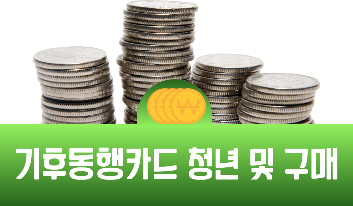 기후동행카드 청년 및 구매