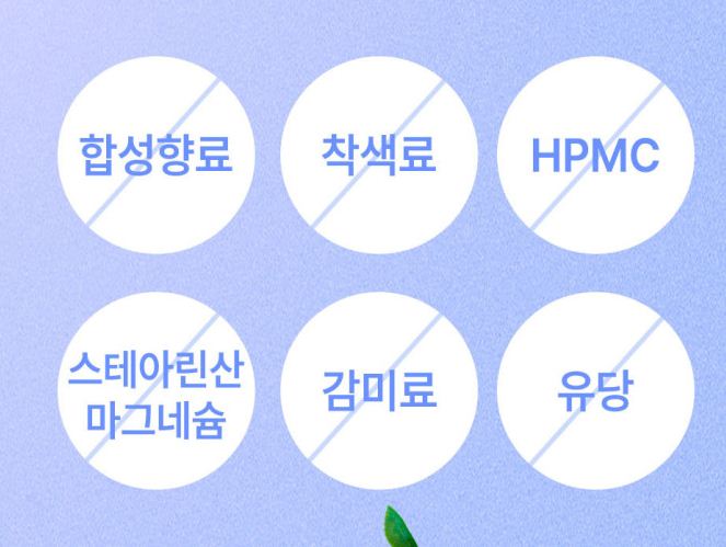 레디웰 유산균