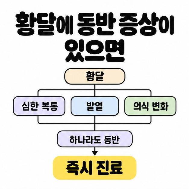 황달에 심한 복통, 발열, 의식 변화 중 하나라도 동반되면 즉시 진료받도록 안내하는 판단 도식