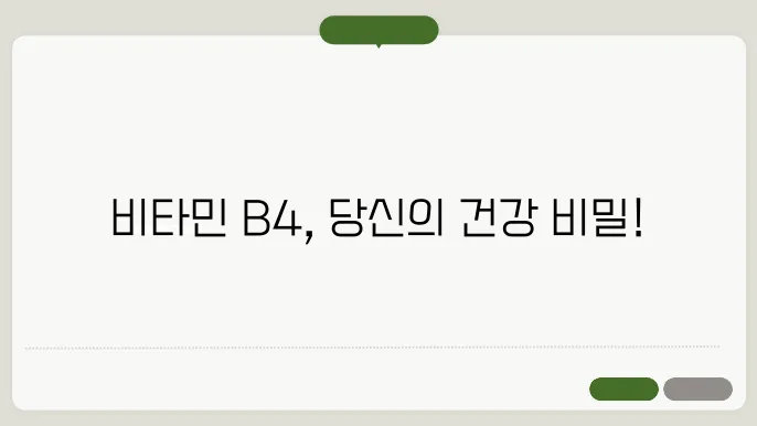 비타민 B4 하루 권장량