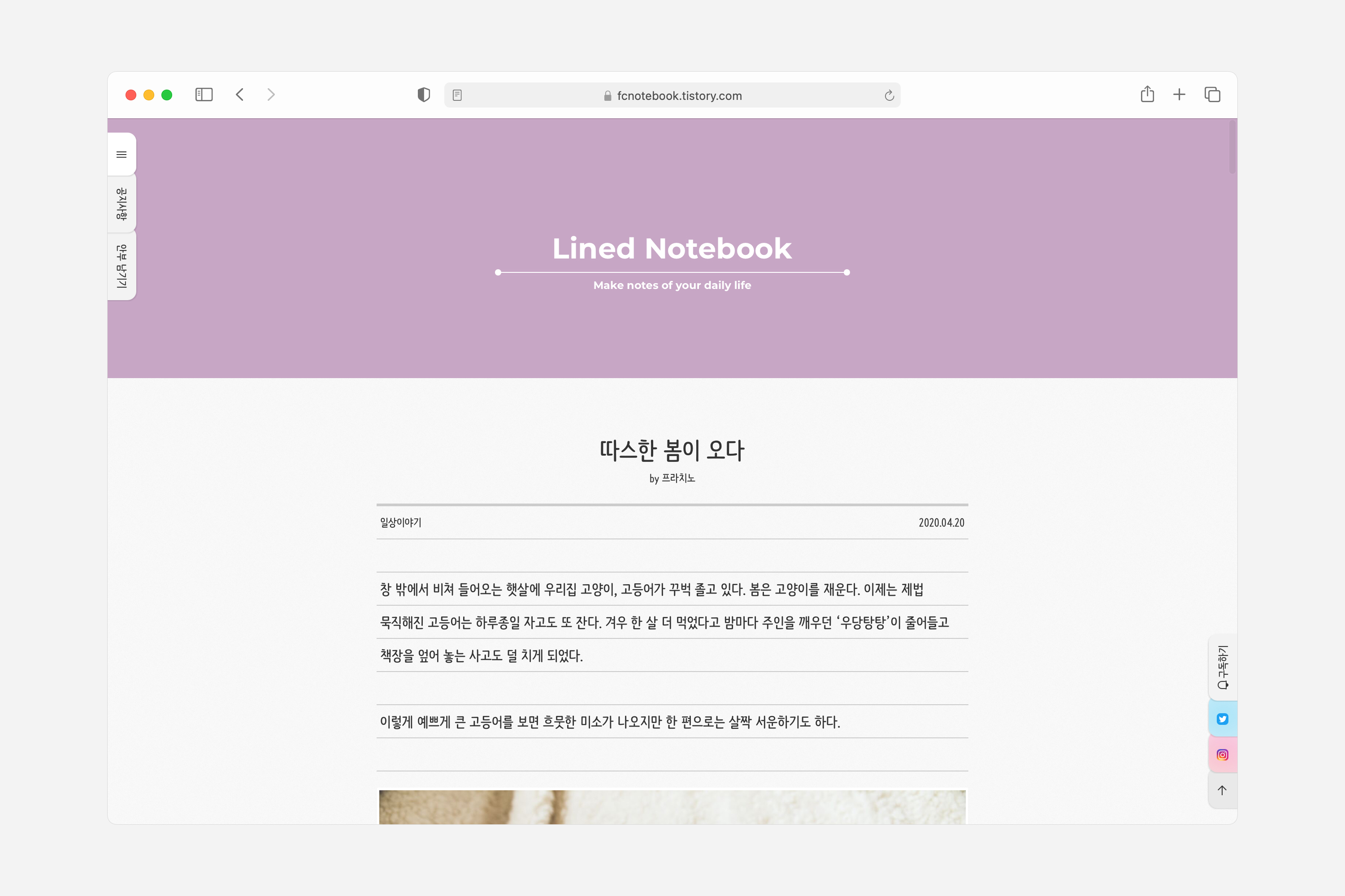 단색 헤더