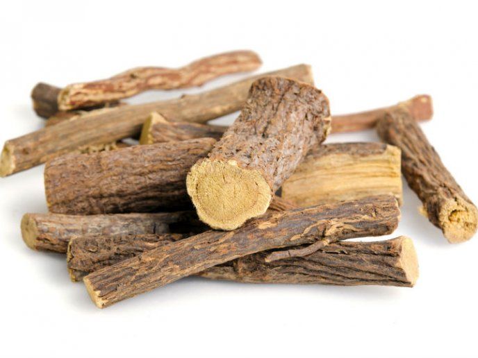 위 영양제 추천