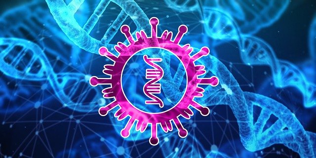 RNA-바이러스