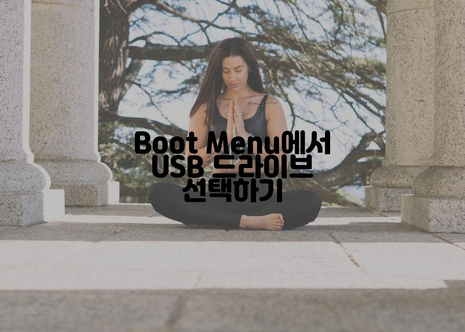 Boot Menu에서 USB 드라이브 선택하기