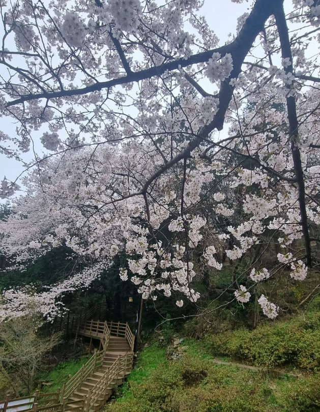거제 남파랑길2