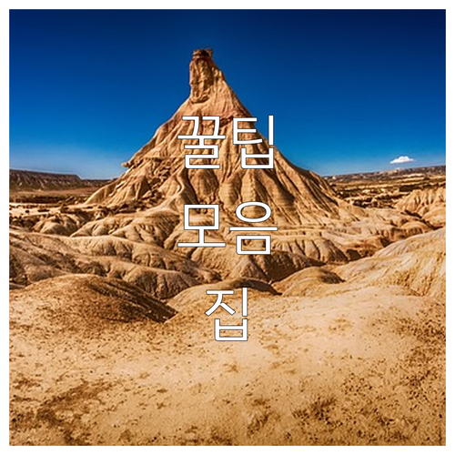 2025 과천시 임신축하금 20만원 ..