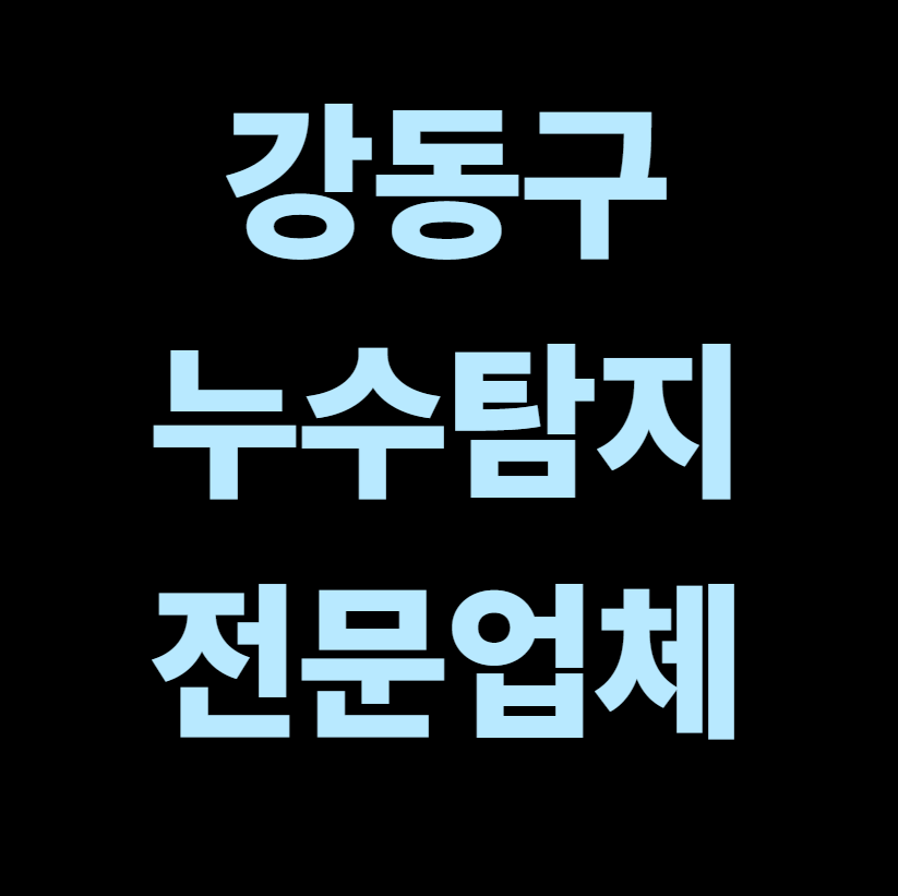 강동구 누수탐지 전문업체