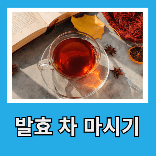 1. 발효 차 마시기