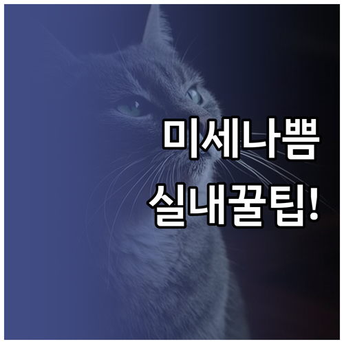 미세먼지 나쁨일 때 아이 실내 생활 ..