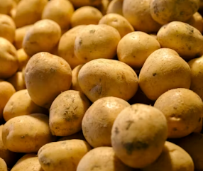 두통에 좋은 음식 영양제 식단