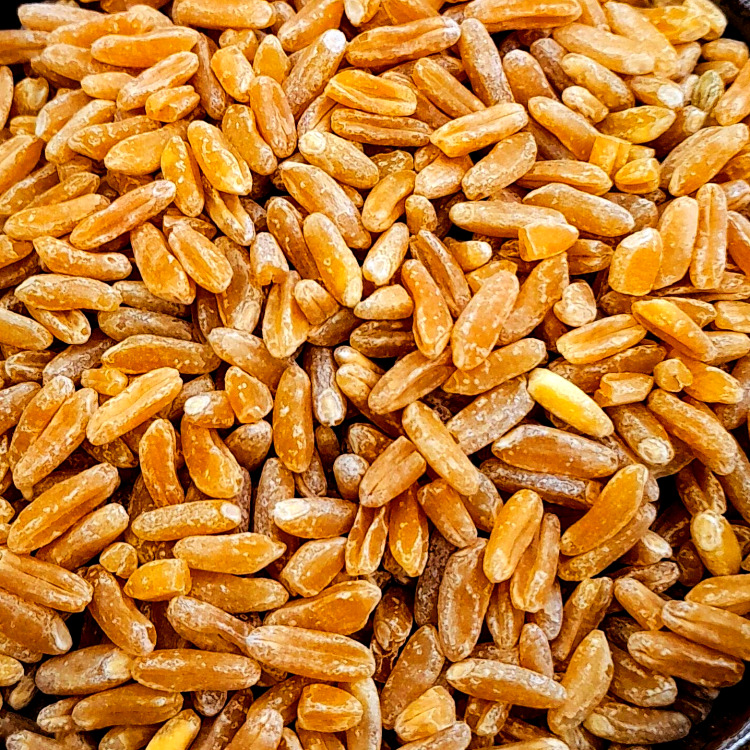 카무트-효능-9가지-부작용-먹는-방법