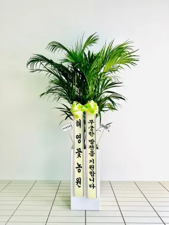 개업 축하 인사 화분 카드 문구 번창 기원 덕담 센스 있게_13