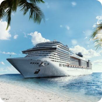 MSC 크루즈 예약 사이트 국내