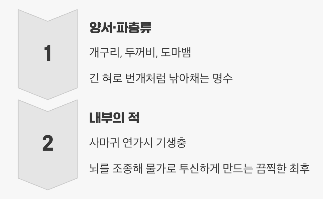 의외의 복병들