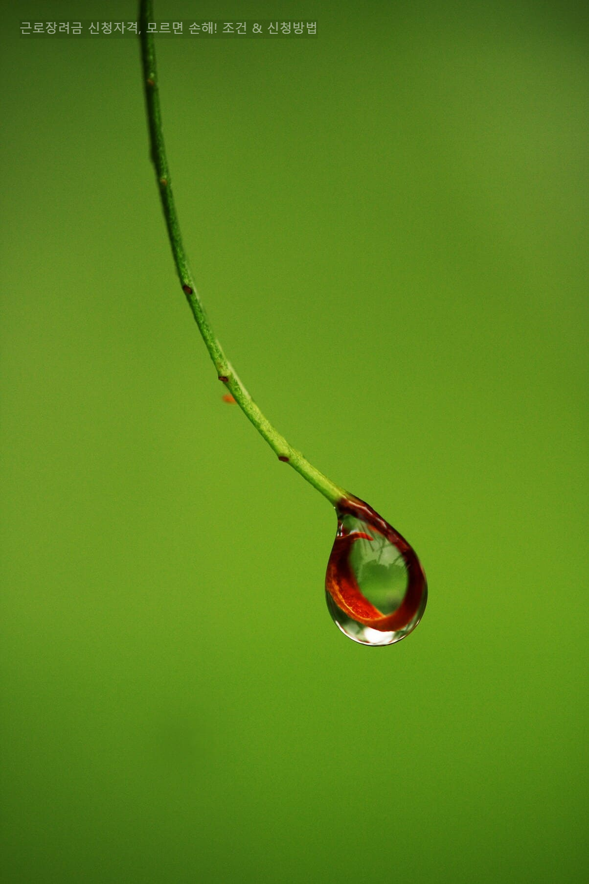 근로장려금 신청자격, 모르면 손해! 조건 & 신청방법