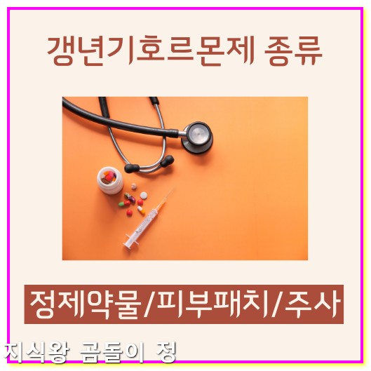 갱년기 호르몬제 종류 비교와 메노믹스 섭취 경험담1