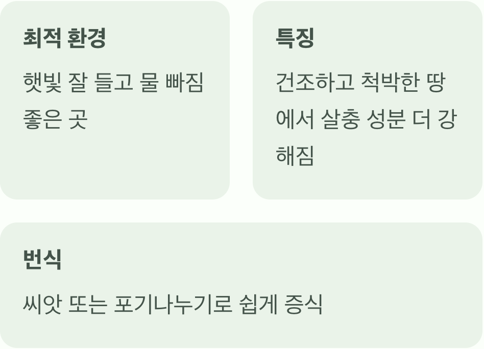 어떻게 키워야 할까?