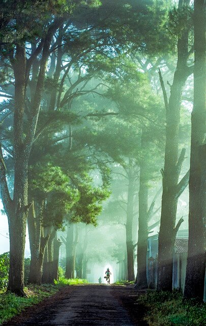 방충망 종류 비교, 내게 맞는 제품은?