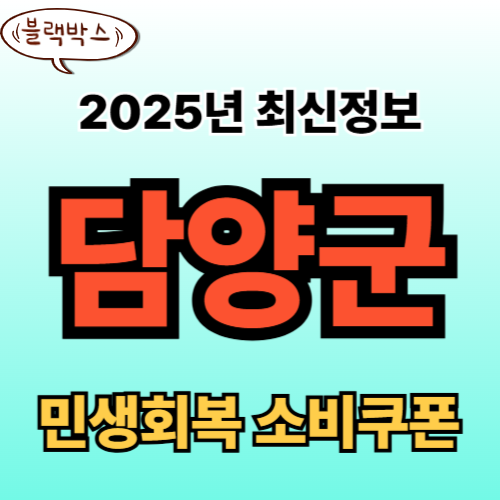 담양군 민생회복 소비쿠폰 신청 완벽 가이드