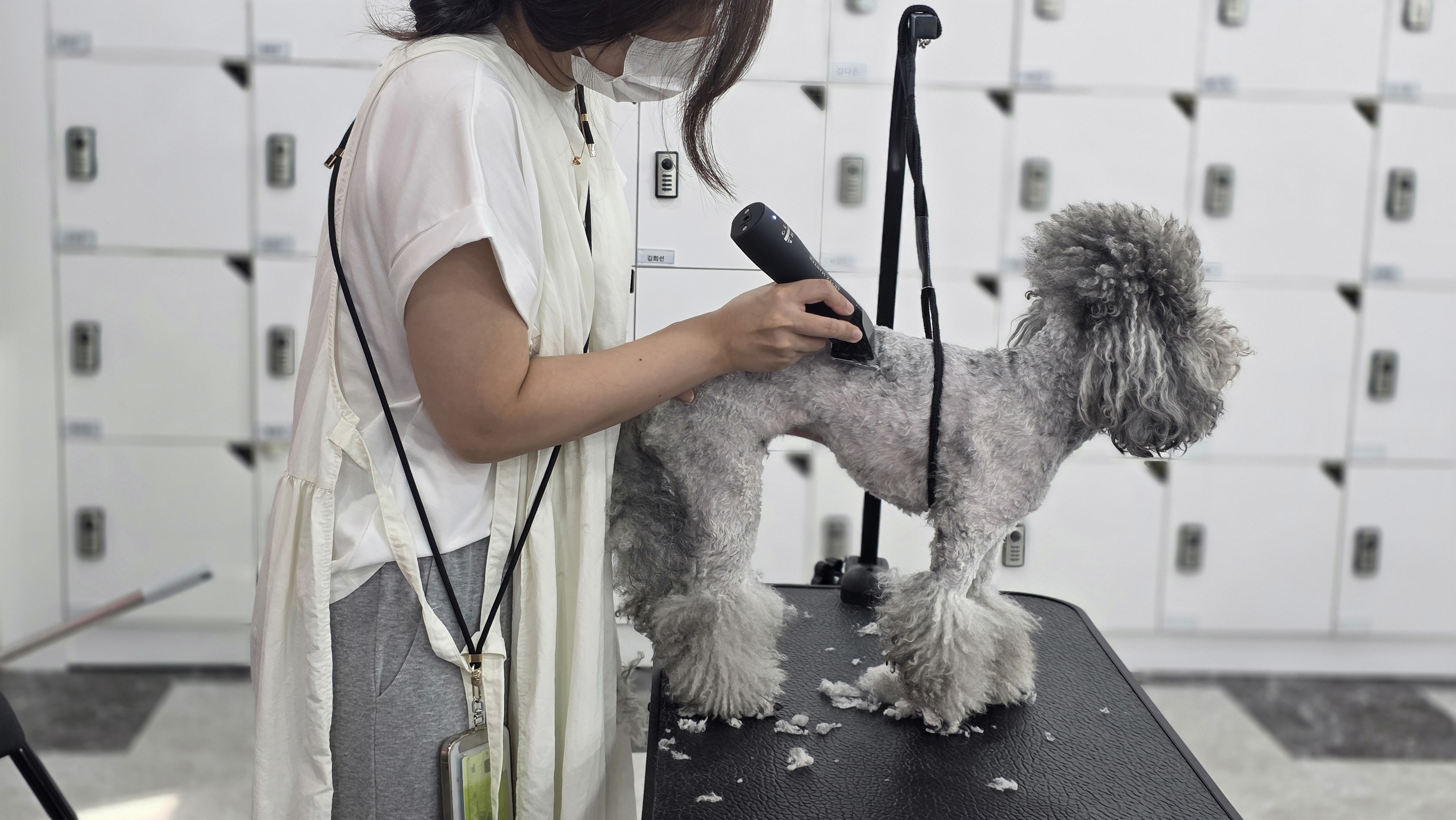 광주애견미용학원수강료