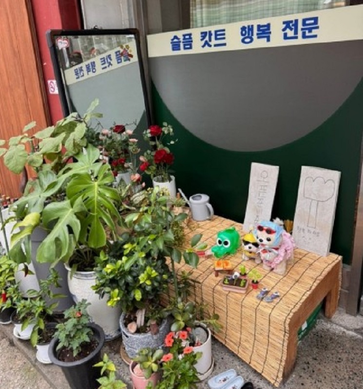 슬픔카트행복전문