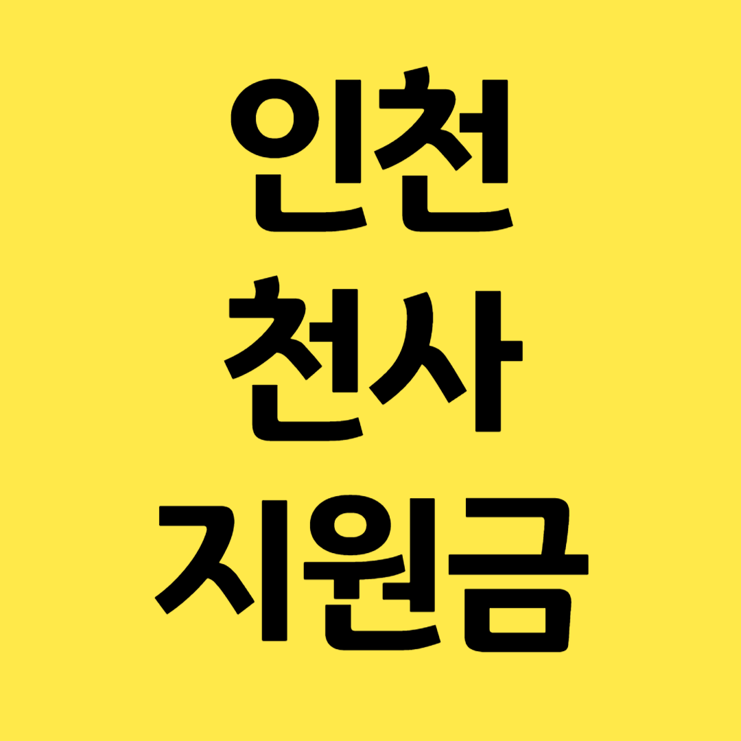 인천 출생지원 천사지원ㄱ므 임산부 교통비