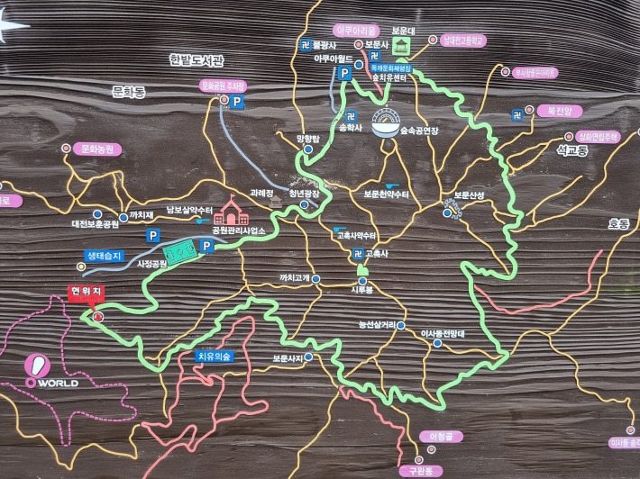 대전 겨울 여행 명소, 장태산자연휴양림&middot;한밭수목원&middot;보문산행복숲길&middot;유림공원