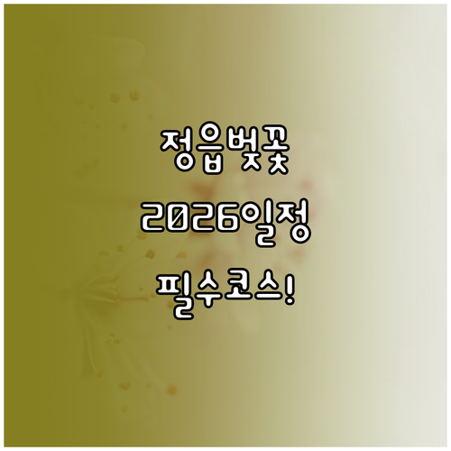정읍 벚꽃 구경 명소 베스트 2 및 ..