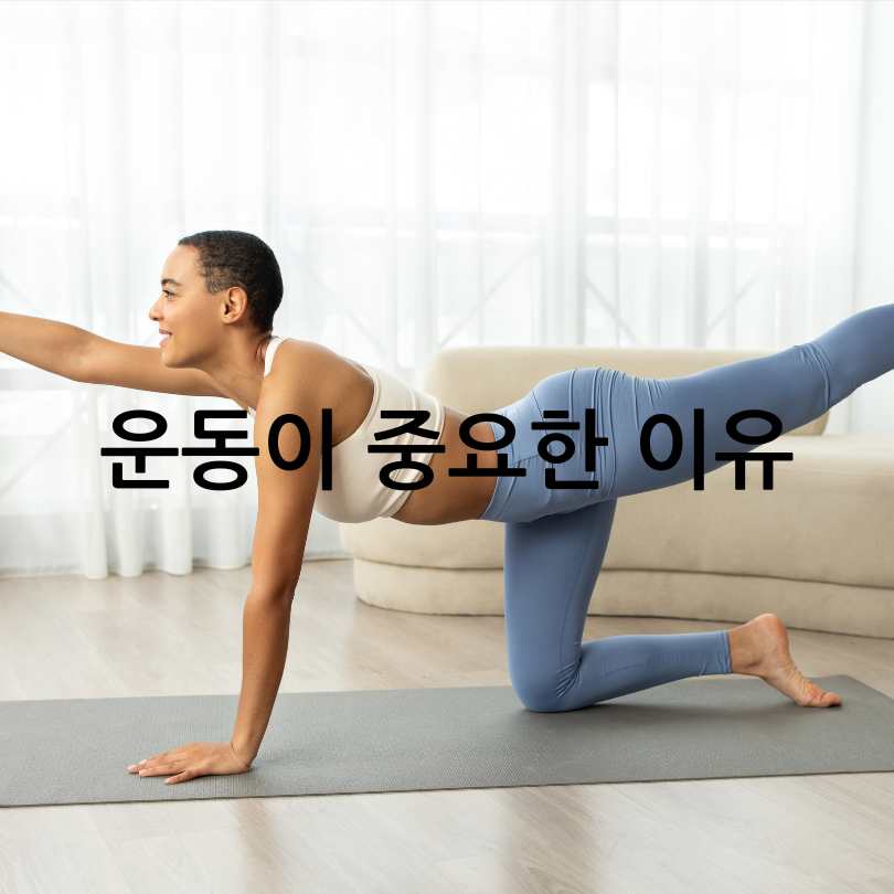 허리 협착증에 좋은 운동