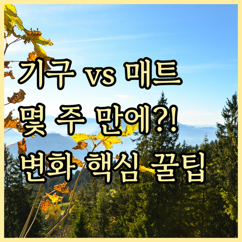 기구와 매트 필라테스 효과 비교와 눈..